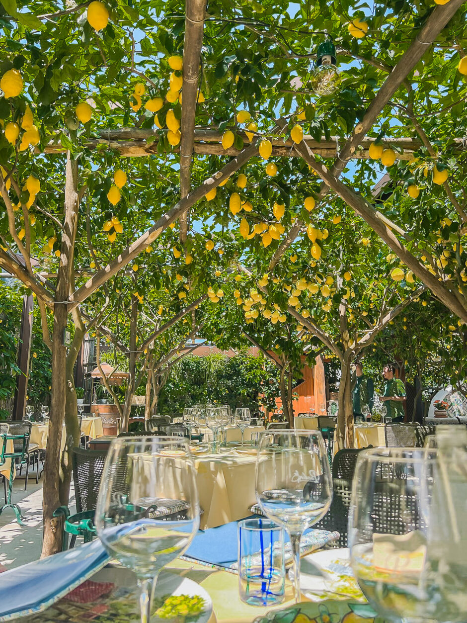 capri italy lemon trees