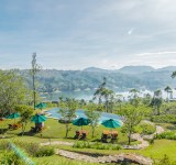 Resplendent Ceylon Tea Trails