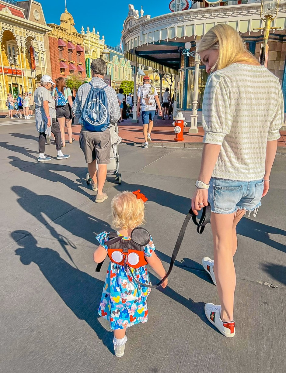 Disney world toddler leash