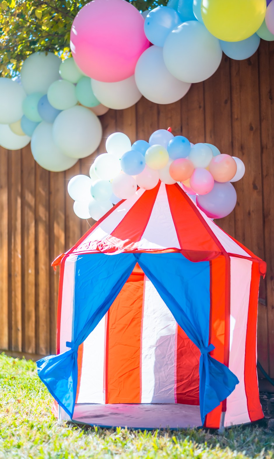 backyard birthday party circus tent