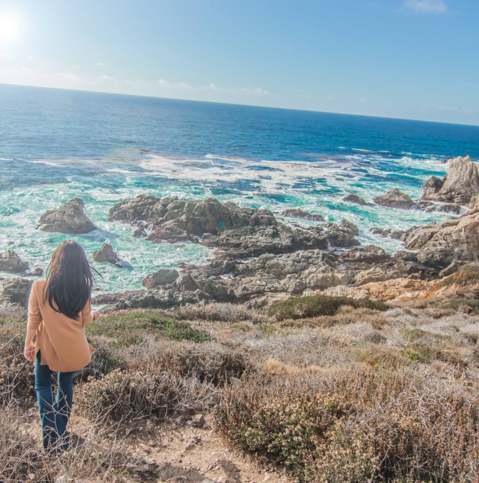 Big Sur Day Trip