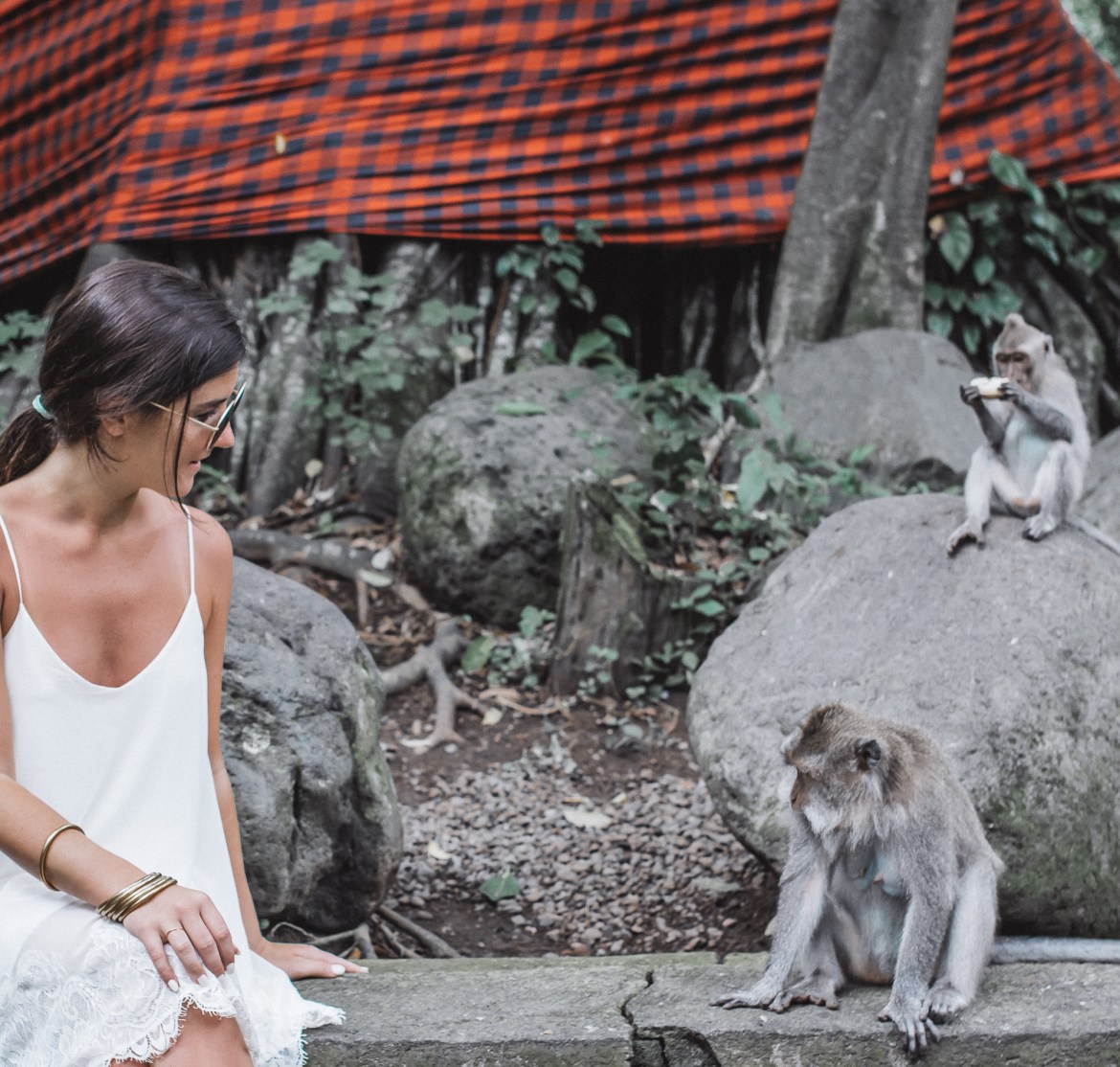 Sacred Monkey Forest Ubud Blogger