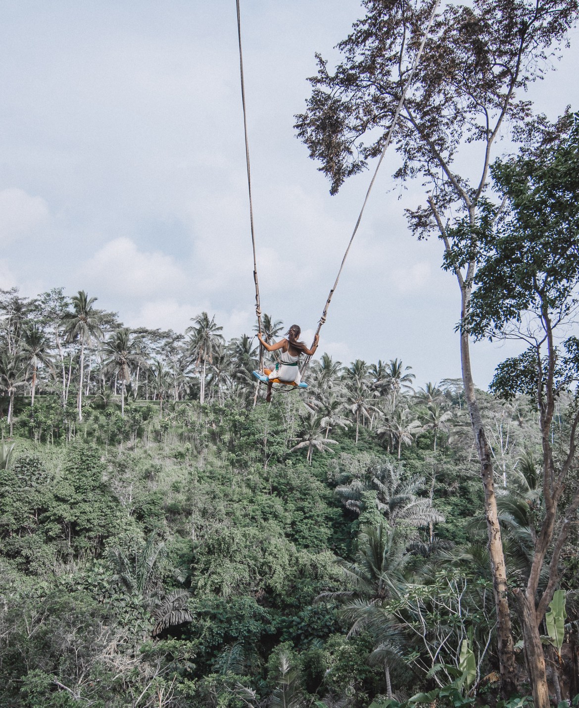 Best Bali Swing