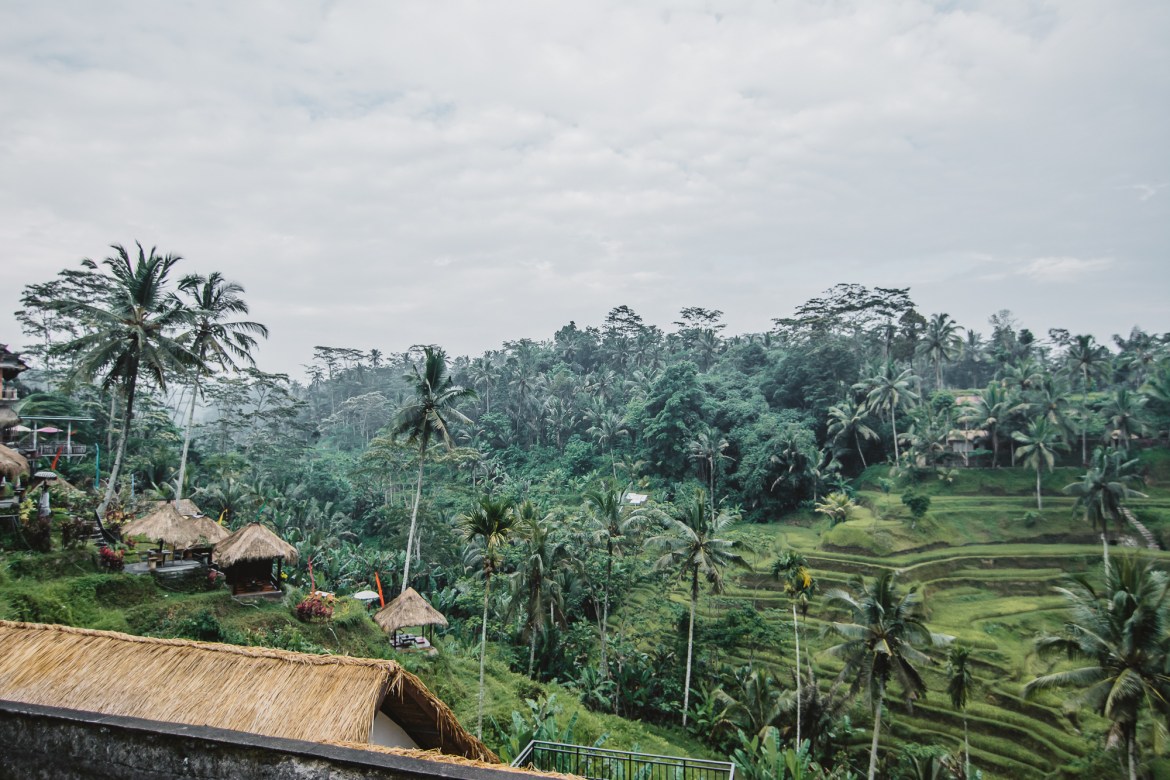 Alon Alon Tegalalang Rice Terraces