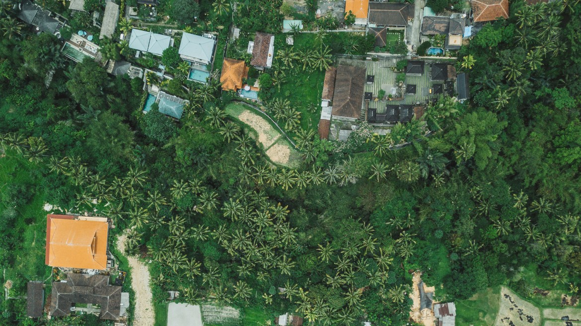 Ubud Aerial Shot