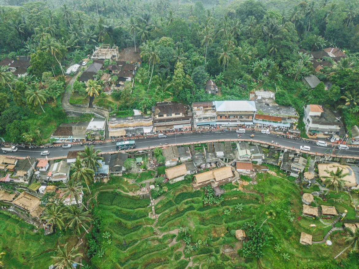 Tegalalang Rice Terraces Aerial Photography