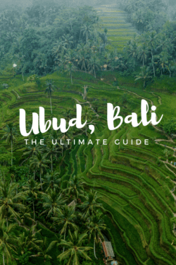 Ubud Bali Travel Guide Blog